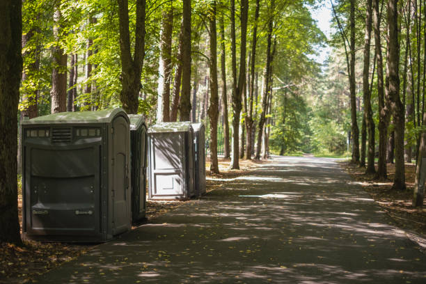 Best Local porta potty services  in Mayville, NY